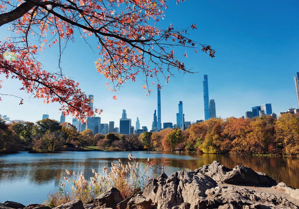 New York » WhatCherithInks Skyline view of New York.