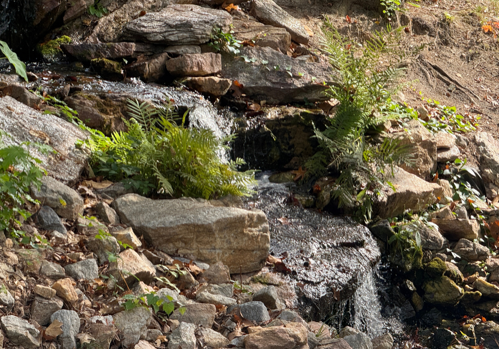 Stockmar Park Villa Rica GA » WhatCherithInks Park in Villa Rica, GA.